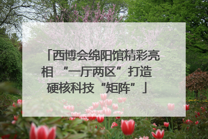 西博会绵阳馆精彩亮相 “一厅两区”打造硬核科技“矩阵”