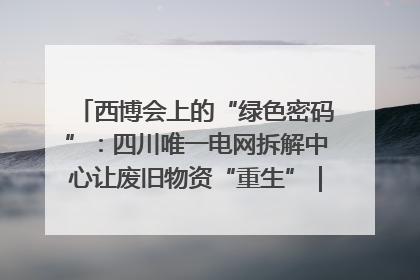 西博会上的“绿色密码”：四川唯一电网拆解中心让废旧物资“重生”｜西博寻“新”记