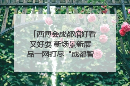 西博会成都馆好看又好耍 新场景新展品一网打尽“成都智造”｜西博视界
