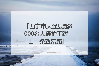 西宁市大通县超8000名大通护工蹚出一条致富路