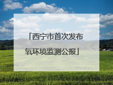 西宁市首次发布氧环境监测公报