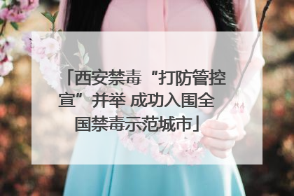 西安禁毒“打防管控宣”并举 成功入围全国禁毒示范城市