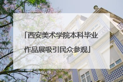 西安美术学院本科毕业作品展吸引民众参观