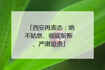 西安再表态：绝不姑息、彻底斩断、严肃追责