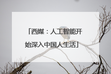 西媒：人工智能开始深入中国人生活