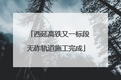 西延高铁又一标段无砟轨道施工完成