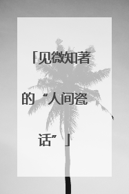 见微知著的“人间瓷话”