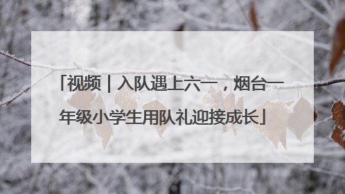 视频｜入队遇上六一，烟台一年级小学生用队礼迎接成长