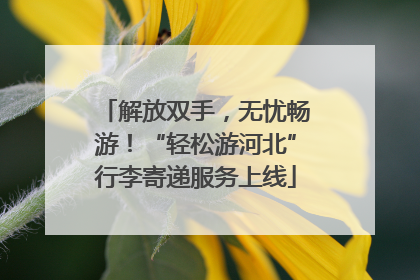 解放双手，无忧畅游！“轻松游河北”行李寄递服务上线