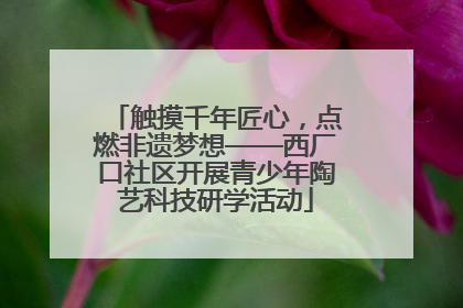 触摸千年匠心，点燃非遗梦想——西厂口社区开展青少年陶艺科技研学活动