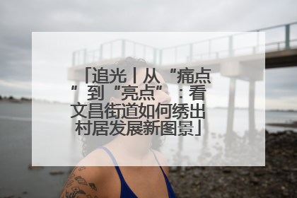 追光丨从“痛点”到“亮点”：看文昌街道如何绣出村居发展新图景