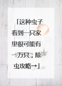 这种虫子看到一只家里很可能有一万只，除虫攻略→