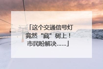 这个交通信号灯竟然“藏”树上！市民盼解决……