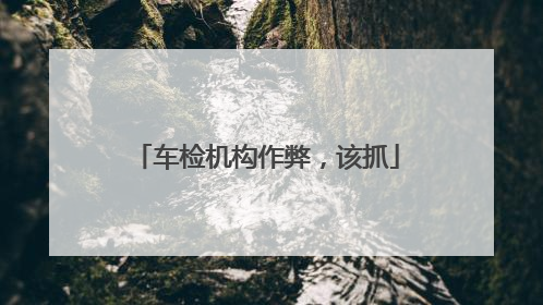 车检机构作弊，该抓