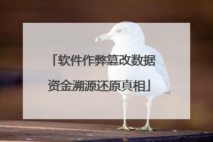软件作弊篡改数据 资金溯源还原真相