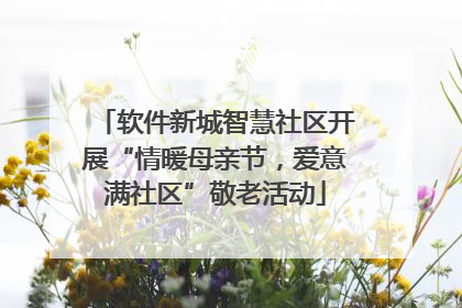 软件新城智慧社区开展“情暖母亲节，爱意满社区”敬老活动