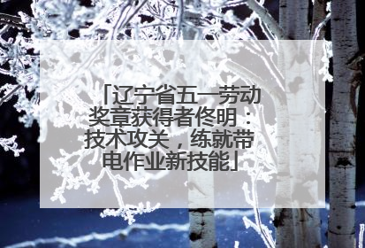 辽宁省五一劳动奖章获得者佟明：技术攻关，练就带电作业新技能