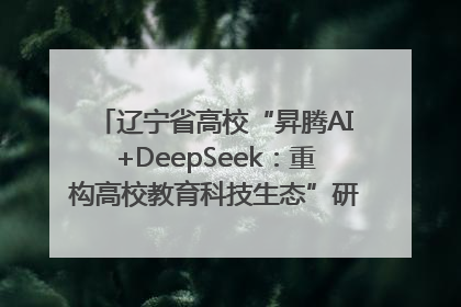 辽宁省高校“昇腾AI+DeepSeek：重构高校教育科技生态”研讨会在沈阳成功举办
