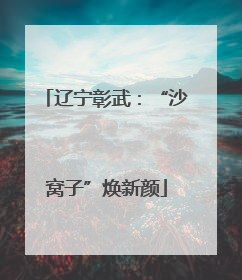 辽宁彰武：“沙窝子”焕新颜