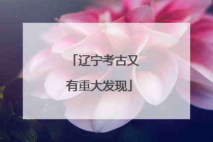 辽宁考古又有重大发现