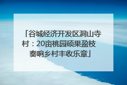 谷城经济开发区洞山寺村：20亩桃园硕果盈枝 奏响乡村丰收乐章