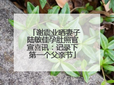 谢震业晒妻子陆敏佳孕肚照官宣喜讯：记录下第一个父亲节