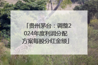 贵州茅台：调整2024年度利润分配方案每股分红金额