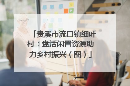 贵溪市流口镇细叶村：盘活闲置资源助力乡村振兴（图）
