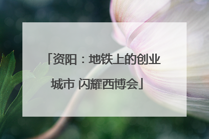 资阳：地铁上的创业城市 闪耀西博会