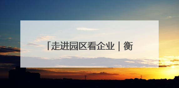 走进园区看企业｜衡阳蒸湘区：向“高”而攀 向“新”而行