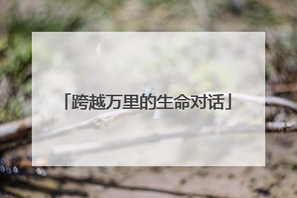 跨越万里的生命对话