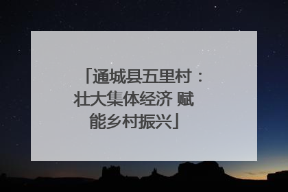 通城县五里村：壮大集体经济 赋能乡村振兴