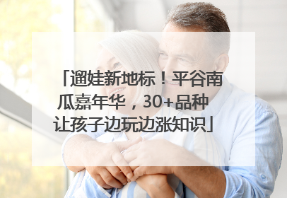 遛娃新地标！平谷南瓜嘉年华，30+品种让孩子边玩边涨知识
