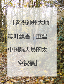 遥祝神州大地粽叶飘香｜重温中国航天员的太空祝福