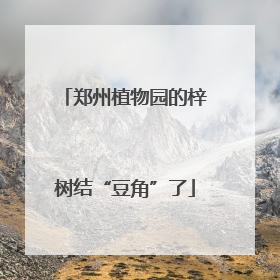 郑州植物园的梓树结“豆角”了