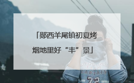 郧西羊尾镇初夏烤烟地里好“丰”景
