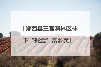 郧西县三官洞林区林下“掘金”富乡民