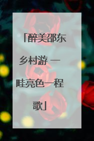 醉美邵东乡村游 一畦亮色一程歌