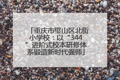 重庆市璧山区北街小学校：以“344”进阶式校本研修体系锻造新时代强师