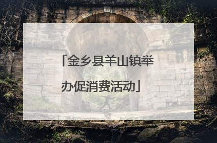 金乡县羊山镇举办促消费活动