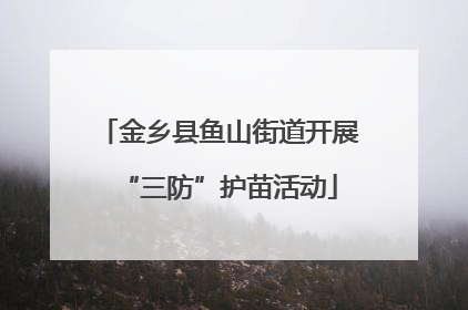 金乡县鱼山街道开展“三防”护苗活动