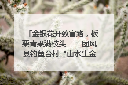 金银花开致富路，板栗青果满枝头——团风县钓鱼台村“山水生金”谱写共富新篇章