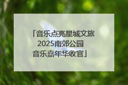 音乐点亮星城文旅 2025南郊公园音乐嘉年华收官