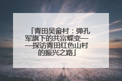 青田吴畲村：弹孔军旗下的共富蝶变——探访青田红色山村的振兴之路