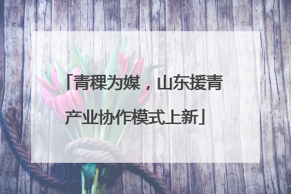 青稞为媒，山东援青产业协作模式上新
