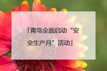 青岛全面启动“安全生产月”活动