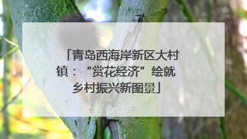 青岛西海岸新区大村镇：“赏花经济”绘就乡村振兴新图景