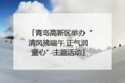 青岛高新区举办“清风拂端午 正气润童心”主题活动