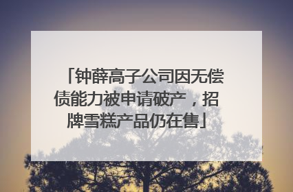 钟薛高子公司因无偿债能力被申请破产，招牌雪糕产品仍在售