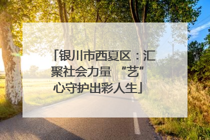 银川市西夏区：汇聚社会力量 “艺”心守护出彩人生